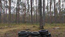 Mi&scaron;kininkai jau pajuto padangų keitimo sezoną: renka gyventojų i&scaron;mestas padangas 