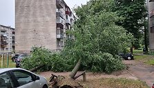 Lietuvoje siautėjusi audra pridarė žalos &ndash; virto medžiai