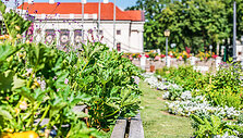 Vaizdai atima žadą: didžiausias gėlių festivalis Baltijos &scaron;alyse pasiekė žydėjimo piką 