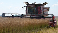 Harvesting