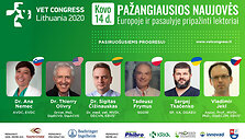 KG Vet Congress 2020