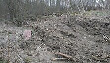 Vieta Varėnos rajone, i&scaron; kurios galimai neteisėtai pasisavinti rieduliai