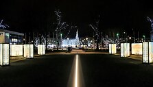 &Scaron;iauliuose paslapčia įžiebta Kalėdų eglė