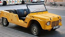Visi Citro&euml;n M&eacute;hari pasižybėjo ry&scaron;kiomis spalvomis