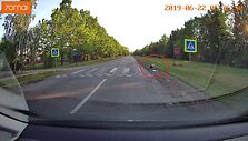 Gandras eina per pėsčiųjų perėją