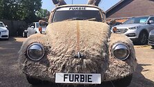 &bdquo;Volkswagen Beetle Furbie&ldquo; 