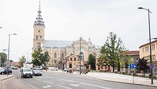 Joni&scaron;kio miesto akimirka