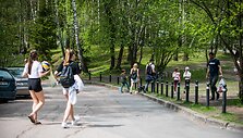 Žalieji ežerai at&scaron;ilus orams