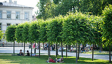 +31&deg;C kar&scaron;čio Vilniuje