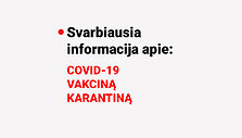 Donato Gvildžio iliustr. / 15min