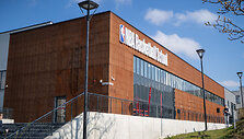 NBA krep&scaron;inio mokyklos atidarymas Vilniuje