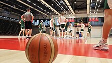 Lietuvos &scaron;e&scaron;iolikmečių rinktinė