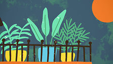 Sodas_Balkone_Screen_02