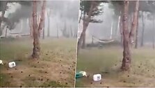 Trakų rajone nuo audros lūžo medžiai