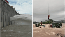 collage1