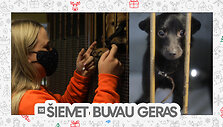 &Scaron;iemet buvau geras "Lesė"