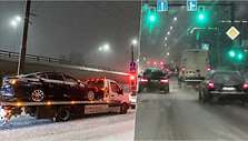 collage2