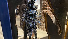 Vienas i&scaron; Venecijos architektūros bienalės arsenalų &bdquo;Among Diverse Beings&ldquo;, 2021 m. Gegužės 21 d. 