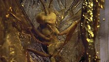  P.Huygheʼo vieno kūrinio paroda &bdquo;Atkūrimas&ldquo;