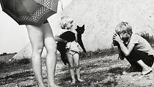 Juodas katinas, 1980