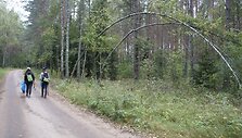 31 diena