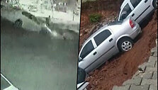 collagecars