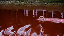 03 Swimming Through
