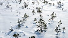 Varnikų pažintinis takas