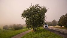 Juodasis mi&scaron;kas Vokietijoje