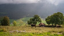 Kempingas ūkininko fermoje