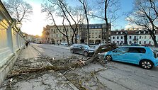 Vilniuje nuo vėjo nukentėjo automobilis