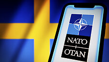 &Scaron;vedija, NATO