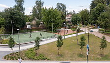 Drakonų pieva