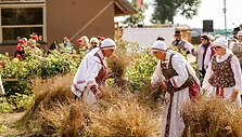 Upytėje &ndash; tradicinė linarovio talka