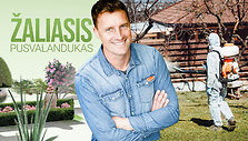 ZaliasisPusvThumb0402