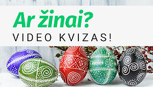arzinai2_thumbnail