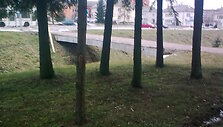 Nuotraukos pavadinimas