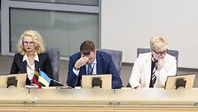 Irmanto Gelūno / BNS nuotr.