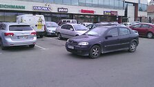 Gaidelis su Opeliu