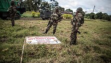 AFP-Scanpix nuotr.