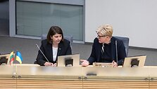 Pauliaus Peleckio / BNS nuotr.
