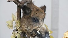 Juliaus Kalinsko / BNS nuotr.