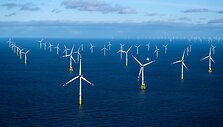 Sina Schuldt / dpa/picture-alliance