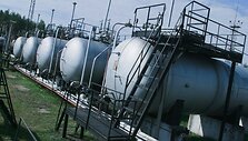BNS nuotr.