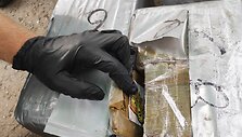 Vilkavi&scaron;kio rajone rastas ha&scaron;i&scaron;as / Lietuvos policijos nuotr.