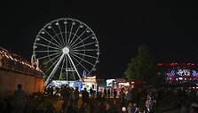 Rytų Vokietijoje užsiliepsnojus apžvalgos ratui sužeisti mažiausiai 23 žmonės / Heiko Rebsch / AP