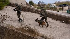 Izraelio ir &bdquo;Hezbollah&ldquo; karas