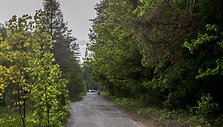 Reabilitacijos centras &bdquo;Au&scaron;veita&ldquo; / BNS nuotr.