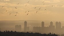 Amr Abdallah Dalsh / REUTERS
