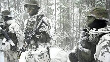 Suomijos &scaron;auktiniai pratybų metu / IMAGO/Heikki Saukkomaa / IMAGO/Lehtikuva